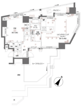 ズーム都立大学 901 間取り図