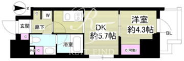 ミリアレジデンス根岸柳通 303 間取り図