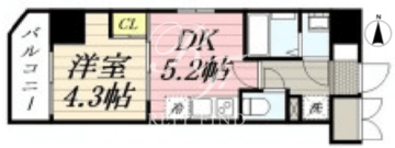 グランパセオ清澄白河 504 間取り図