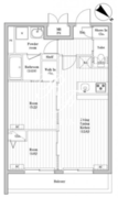 クラリティア文京千石 306 間取り図