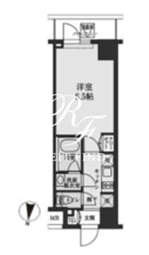 エスレジデンス清澄白河 505 間取り図