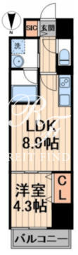 ラベルジュー錦糸町 706 間取り図