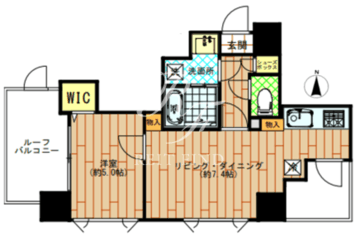 ライブカーサ押上 901 間取り図