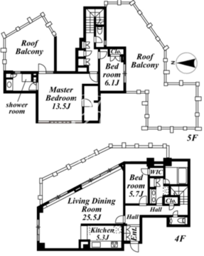 コスモリード南麻布 502 間取り図