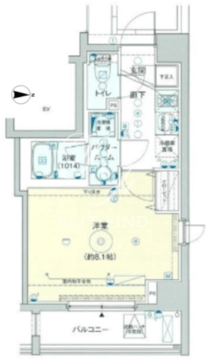 レオーネ押上キューブ 401 間取り図