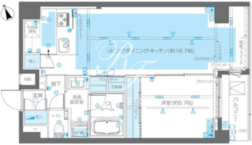 ズーム広尾 505 間取り図