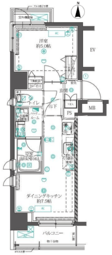 オルタナ錦糸町 201 間取り図