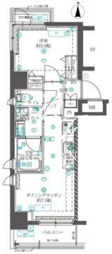 オルタナ錦糸町 301 間取り図