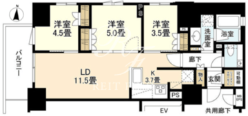 プレミスト蔵前 901 間取り図