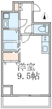 グランパセオ菊川2 804 間取り図