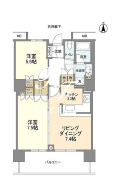 豊洲シエルタワー 1009 間取り図