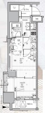 プレミアムキューブ亀戸 501 間取り図