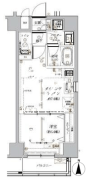 ルクレ墨田緑1 604 間取り図