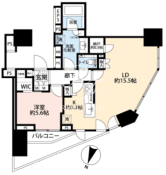 プラウドタワー東池袋ステーションアリーナ 3101 間取り図